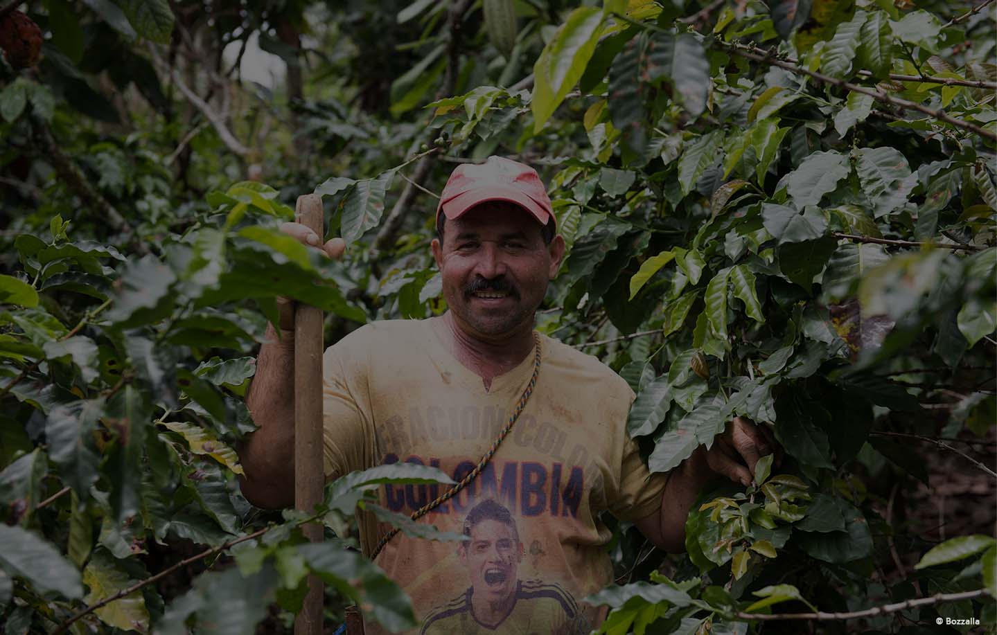 Kaffeetradition und Technologie für Kolumbien